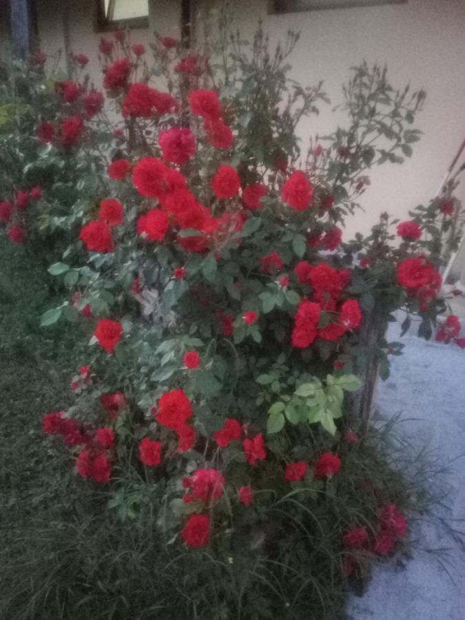 Il Mulino Di Geminella Apartamento Narzole Exterior foto