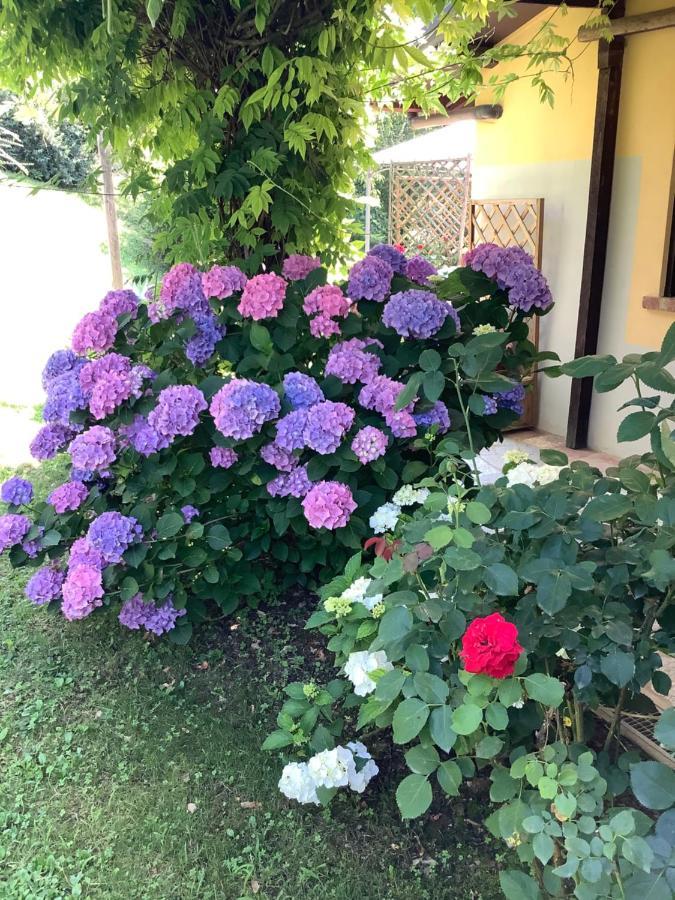Il Mulino Di Geminella Apartamento Narzole Exterior foto