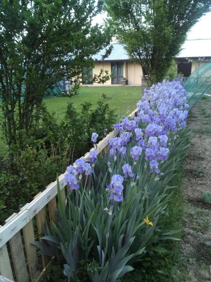 Il Mulino Di Geminella Apartamento Narzole Exterior foto