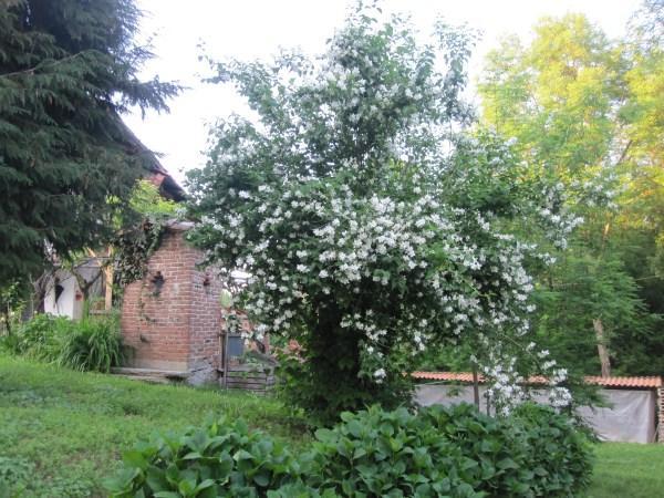 Il Mulino Di Geminella Apartamento Narzole Exterior foto
