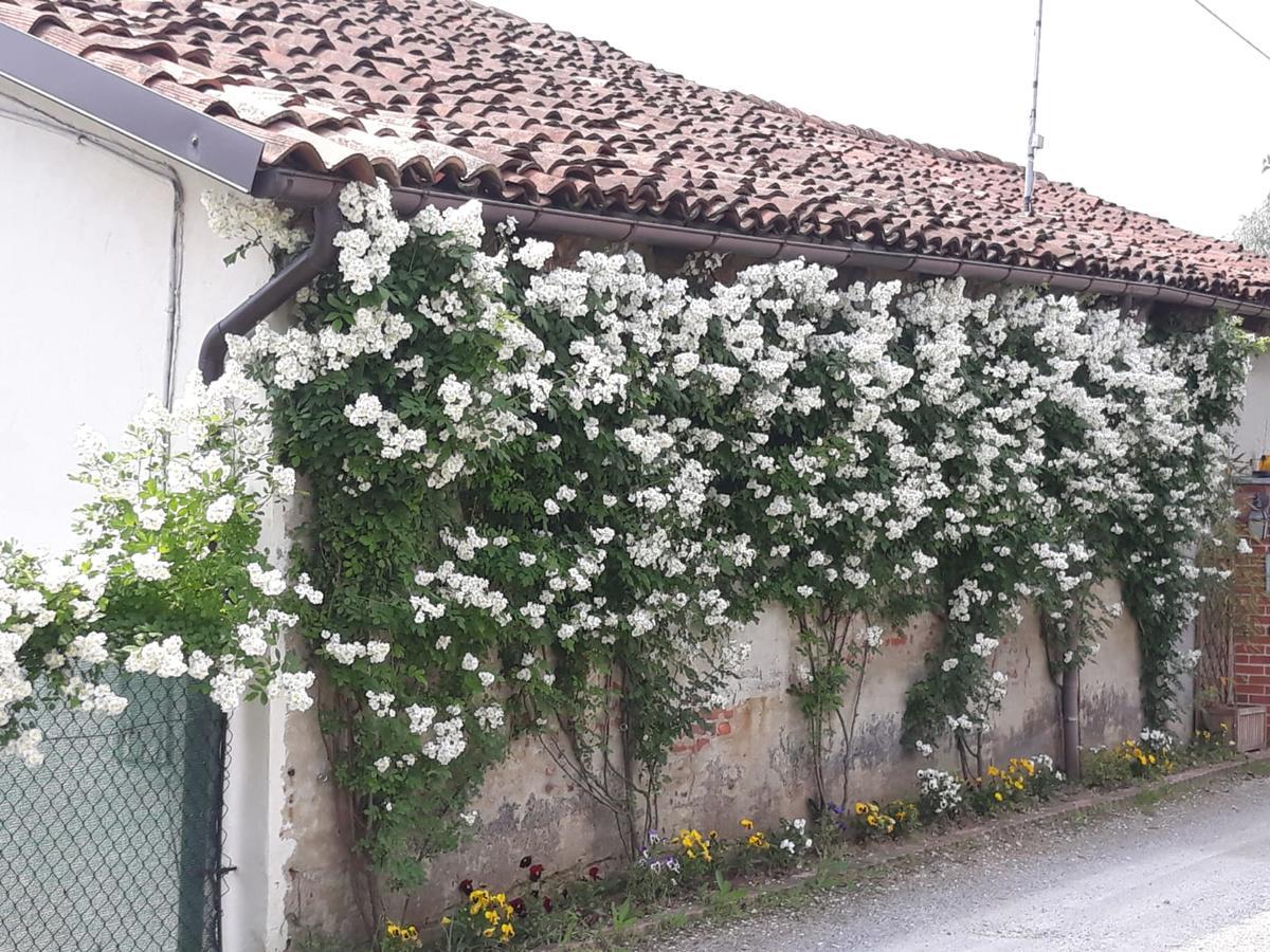Il Mulino Di Geminella Apartamento Narzole Exterior foto